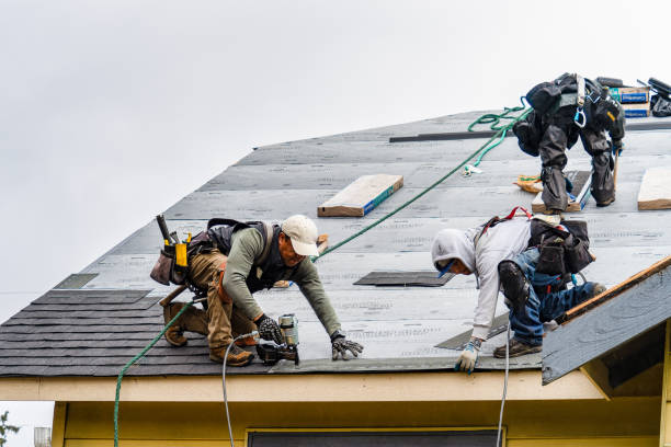 Professional Gutter Installation technician working in Niota, IL